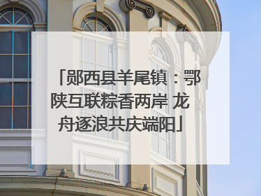 郧西县羊尾镇：鄂陕互联粽香两岸 龙舟逐浪共庆端阳