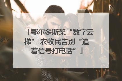 鄂尔多斯架“数字云梯” 农牧民告别“追着信号打电话”