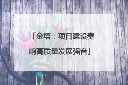金塔：项目建设奏响高质量发展强音