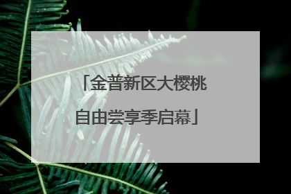 金普新区大樱桃自由尝享季启幕