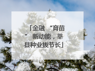 金融 “育苗” 新动能，莘县种业拔节长