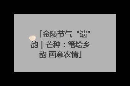 金陵节气“遗”韵｜芒种：笔绘乡韵 画意农情