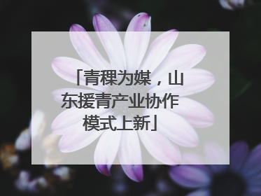 青稞为媒，山东援青产业协作模式上新