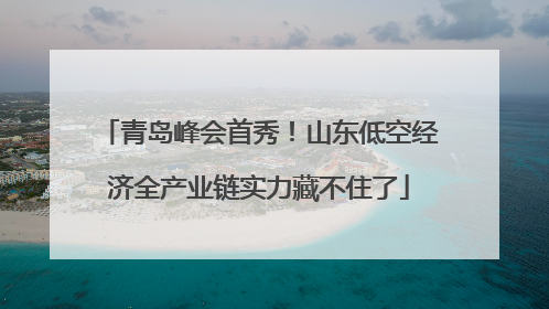青岛峰会首秀！山东低空经济全产业链实力藏不住了