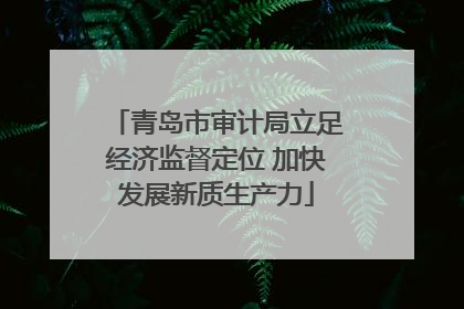青岛市审计局立足经济监督定位 加快发展新质生产力
