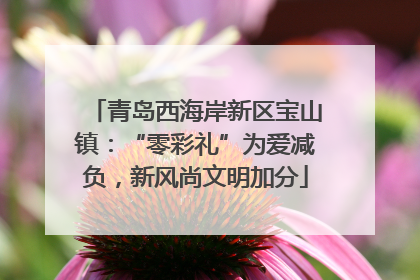青岛西海岸新区宝山镇：“零彩礼”为爱减负，新风尚文明加分