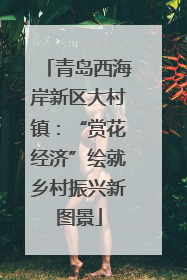 青岛西海岸新区大村镇：“赏花经济”绘就乡村振兴新图景