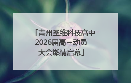青州圣维科技高中2026届高三动员大会燃情启幕