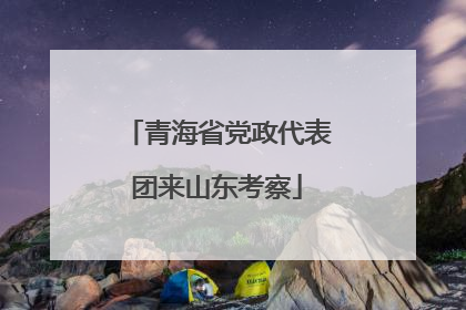 青海省党政代表团来山东考察