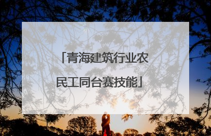 青海建筑行业农民工同台赛技能