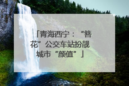 青海西宁：“簪花”公交车站扮靓城市“颜值”
