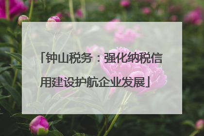 钟山税务：强化纳税信用建设护航企业发展