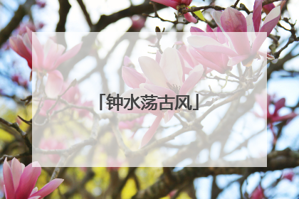 钟水荡古风