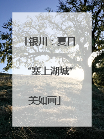 银川：夏日“塞上湖城”美如画