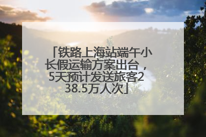 铁路上海站端午小长假运输方案出台，5天预计发送旅客238.5万人次