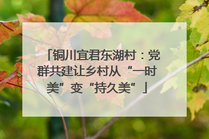 铜川宜君东湖村：党群共建让乡村从“一时美”变“持久美”