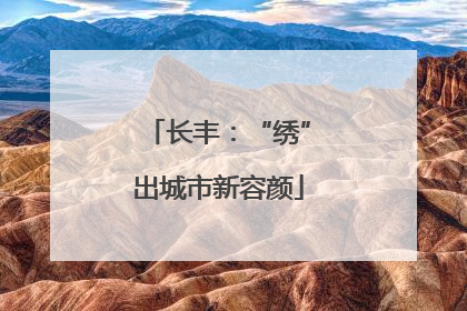 长丰：“绣”出城市新容颜
