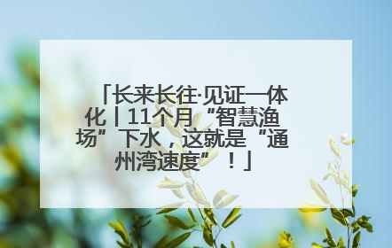 长来长往·见证一体化丨11个月“智慧渔场”下水，这就是“通州湾速度”！