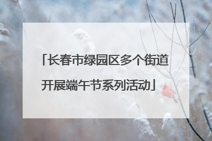 长春市绿园区多个街道开展端午节系列活动