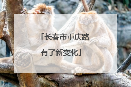 长春市重庆路有了新变化