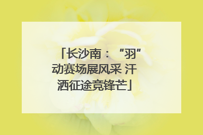 长沙南：“羽”动赛场展风采 汗洒征途竞锋芒
