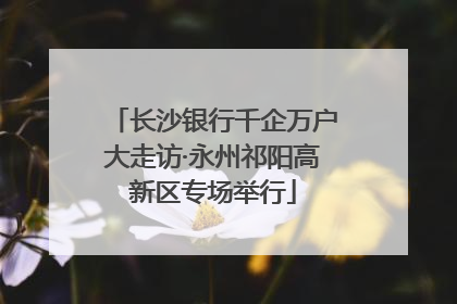 长沙银行千企万户大走访·永州祁阳高新区专场举行