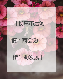 长葛市后河镇：商会为“桥”助发展