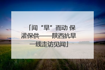 闻“旱”而动 保灌保供——陕西抗旱一线走访见闻