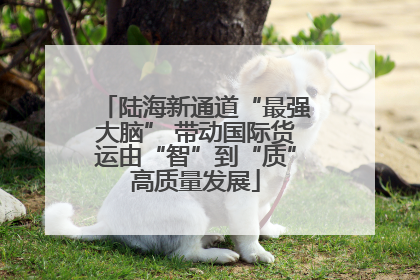 陆海新通道“最强大脑” 带动国际货运由“智”到“质”高质量发展