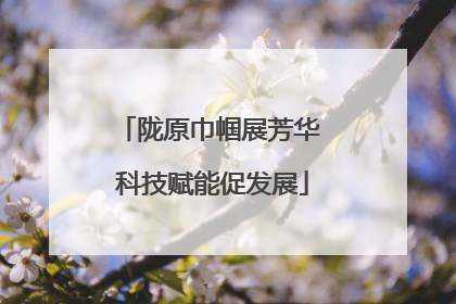 陇原巾帼展芳华 科技赋能促发展