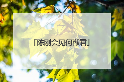 陈刚会见何猷君
