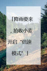 降雨要来，抢收小麦开启“倍速模式”