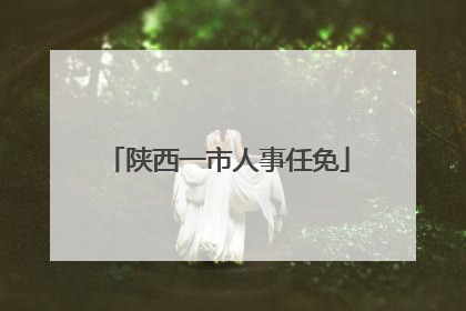 陕西一市人事任免