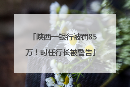 陕西一银行被罚85万！时任行长被警告