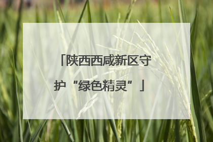 陕西西咸新区守护“绿色精灵”