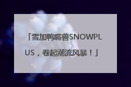 雪加鸭嘴兽SNOWPLUS，卷起潮流风暴！