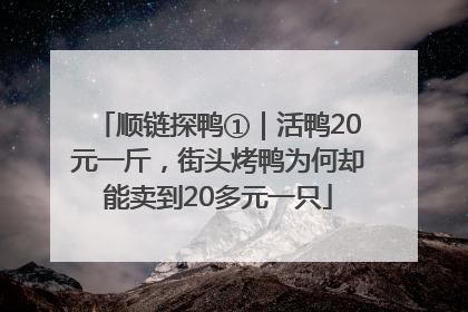 顺链探鸭①|活鸭20元一斤,街头烤鸭为何却能卖到20多元一只