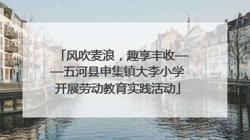 风吹麦浪，趣享丰收——五河县申集镇大李小学开展劳动教育实践活动