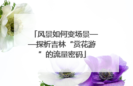 风景如何变场景——探析吉林“赏花游”的流量密码