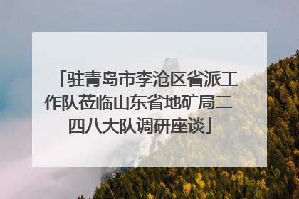 驻青岛市李沧区省派工作队莅临山东省地矿局二四八大队调研座谈