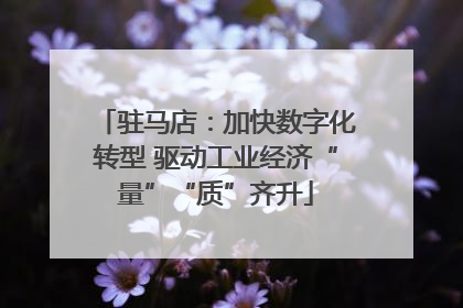 驻马店：加快数字化转型 驱动工业经济“量”“质”齐升