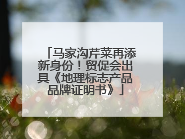 马家沟芹菜再添新身份！贸促会出具《地理标志产品品牌证明书》