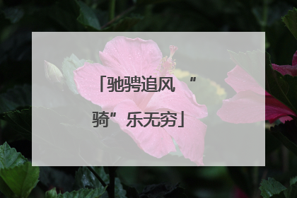 驰骋追风 “骑”乐无穷