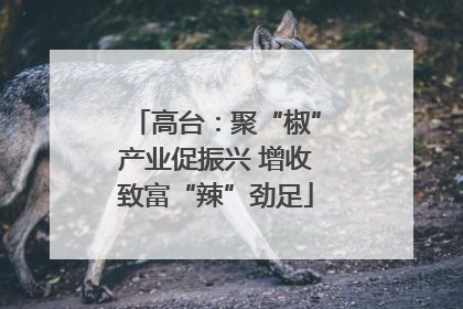 高台：聚“椒”产业促振兴 增收致富“辣”劲足