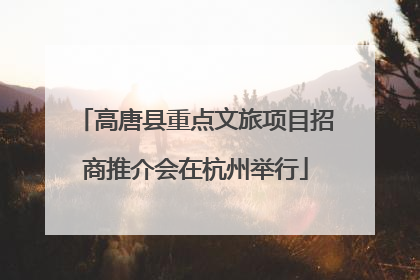 高唐县重点文旅项目招商推介会在杭州举行