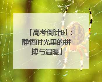 高考倒计时：静悟时光里的拼搏与温暖