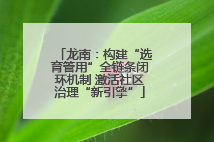 龙南：构建“选育管用”全链条闭环机制 激活社区治理“新引擎”