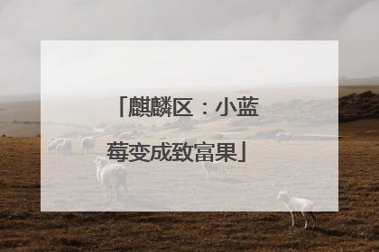 麒麟区：小蓝莓变成致富果