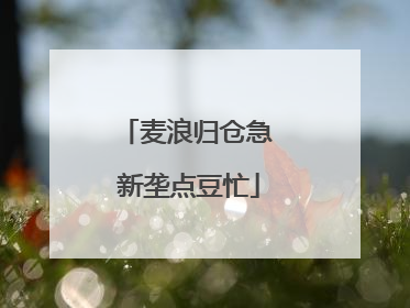 麦浪归仓急 新垄点豆忙