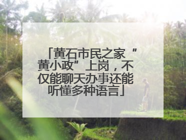 黄石市民之家“黄小政”上岗，不仅能聊天办事还能听懂多种语言